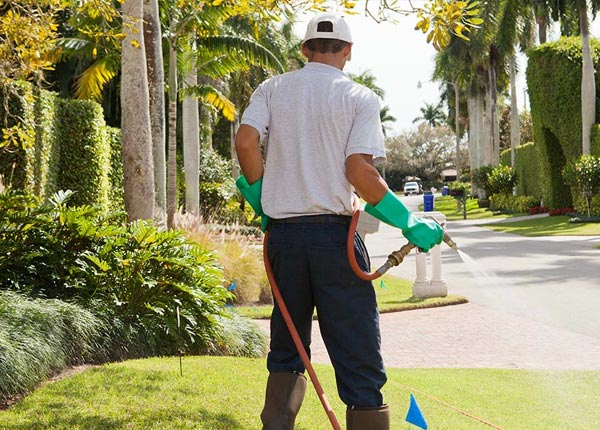 About East Longmeadow MA Pest Control Pros